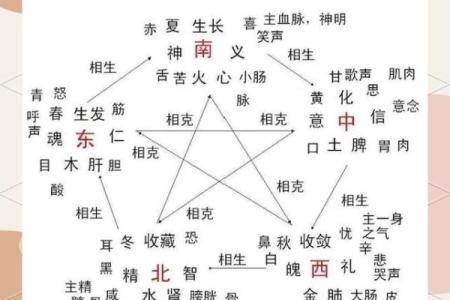 风水布局中的五行定律