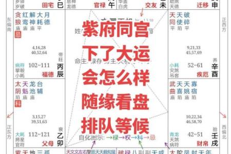 免费查紫薇星盘入宫是什么意思