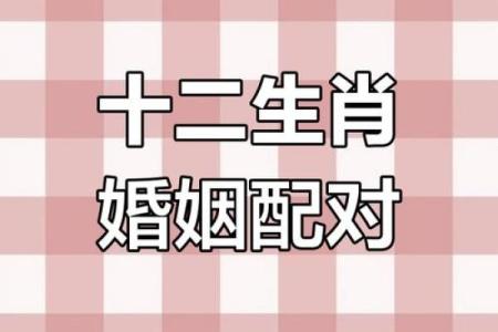 牛和牛相配婚姻如何 牛牛婚姻配对好不好