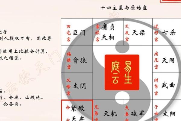紫薇星域和北斗星域区别