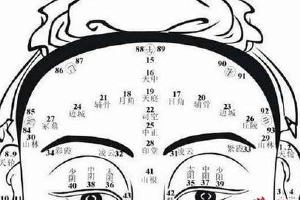 牙齿数量算命，牙齿算命图解
