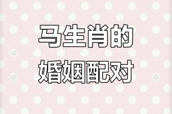 属马和什么属相最配对 属马和什么属相相冲