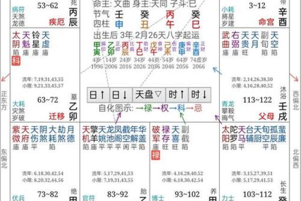 看紫薇斗数的app