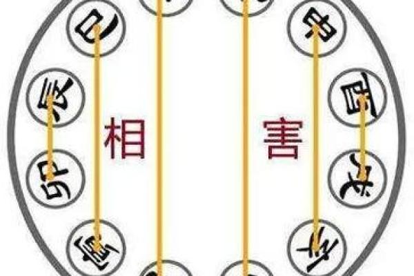 87兔和92猴的八字合不合