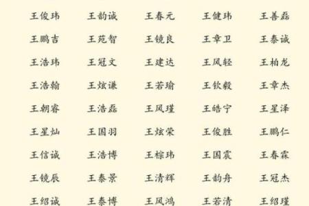 论如何取好属鼠申时出生男孩的名字姓名