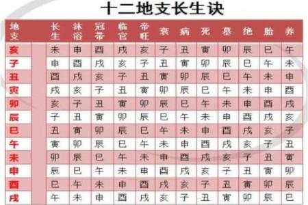 八字中卯