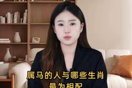 属马和什么属相最配对 属马和什么属相相冲