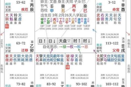看紫薇斗数的app