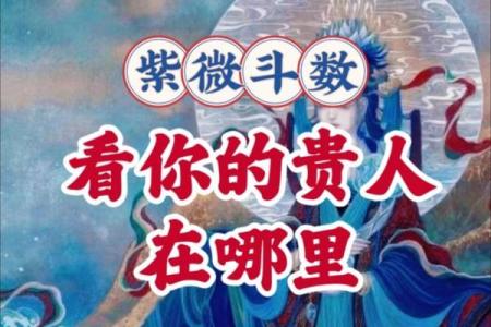 紫薇斗数杨老师