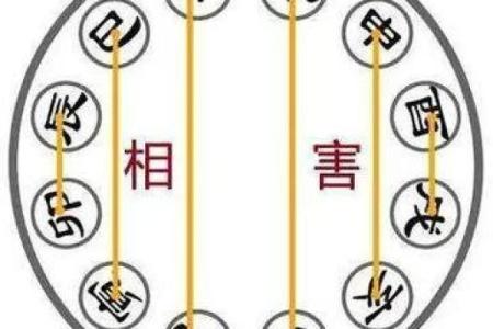 87兔和92猴的八字合不合