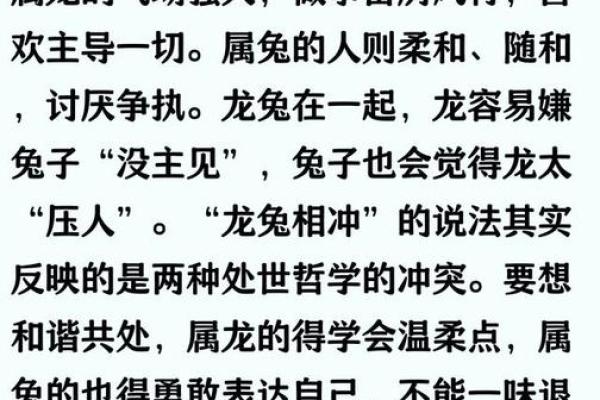 属兔八字