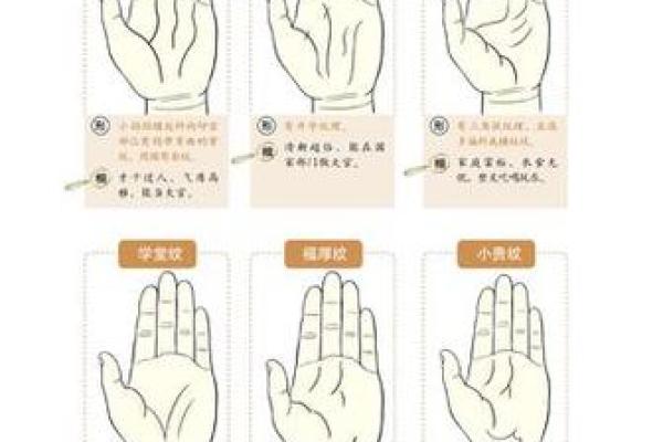 从手相和八字命理解读恋母情节