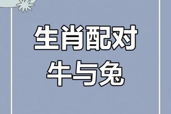 属牛的女人和什么属相最配对 属牛的女人和什么属相最配婚姻