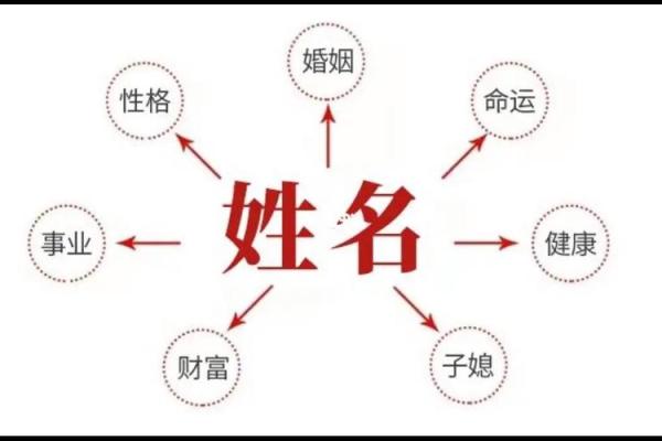 进出口公司起名大全-名字大全-姓名学-华易算命网姓名
