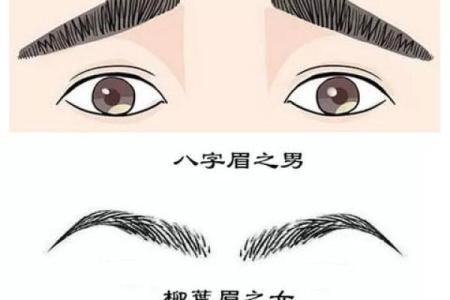 八字眉的女人性格怎样人际关系解答