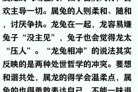属兔八字