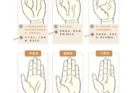 从手相和八字命理解读恋母情节