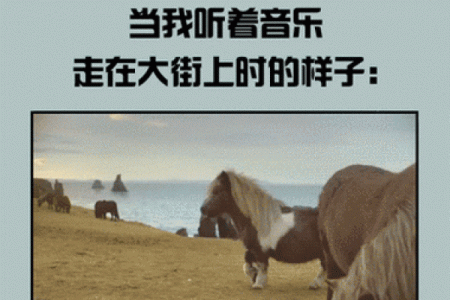 算命先生的歌词