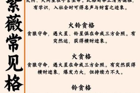 紫微斗数之看疾病／灾难