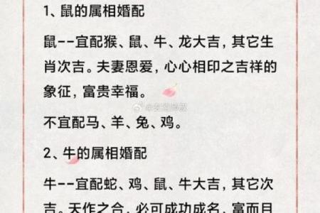 12生肖婚配属相配对查询，生肖配对查询表