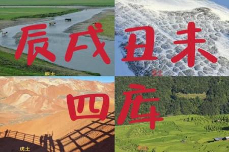 八字四个土