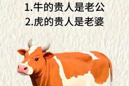 属牛的女人和什么属相最配对 属牛的女人和什么属相最配婚姻