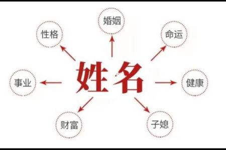 进出口公司起名大全-名字大全-姓名学-华易算命网姓名