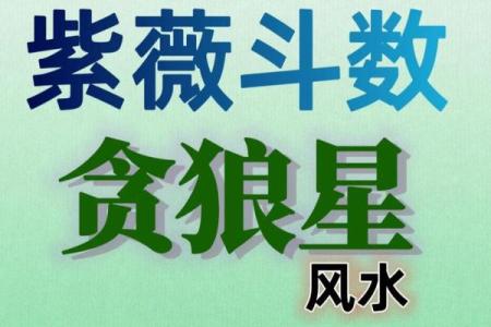 紫薇斗数夹贵