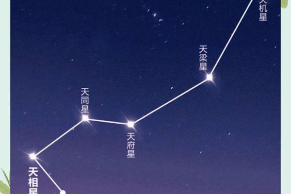 紫薇斗数星系组合