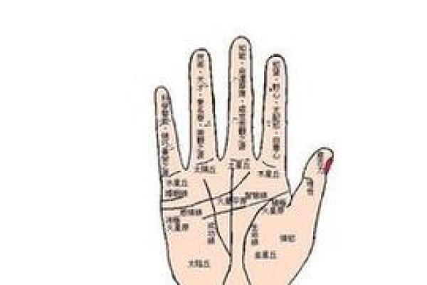命运树算命