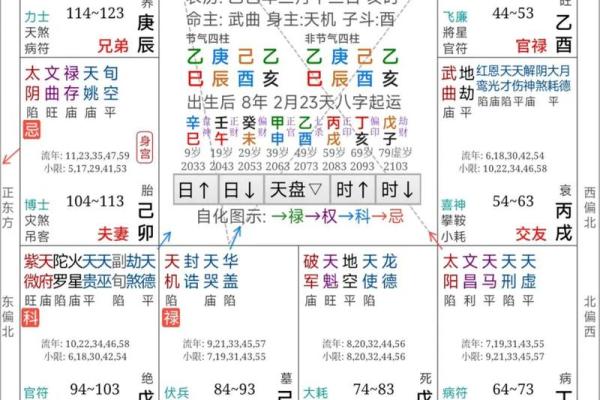 紫薇斗数看玄学体质