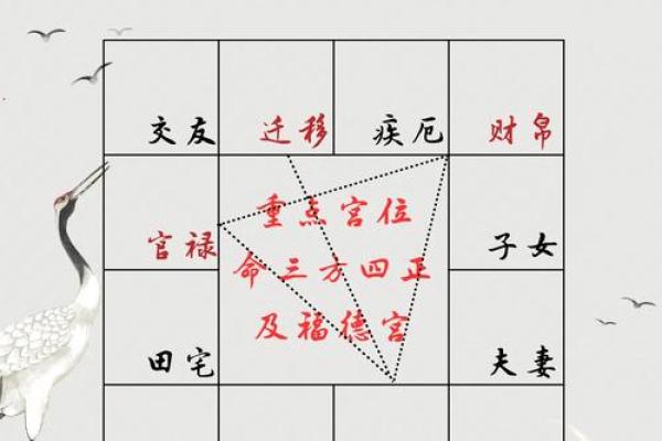 紫薇斗数看玄学体质
