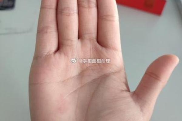 《手相学习百科》：手指