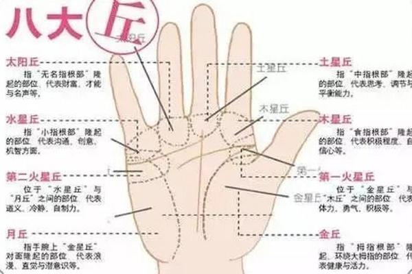 《手相学习百科》：手指