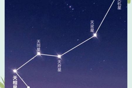 紫薇斗数星系组合
