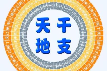 命运树算命