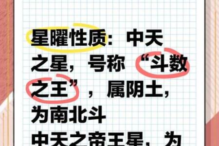 紫微斗数之各星曜所主行业：测本人能否选举上？