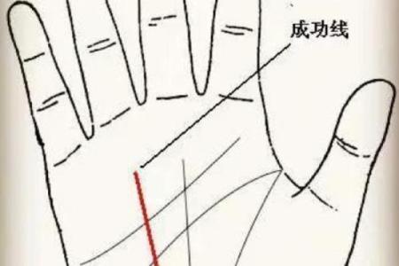《手相学习百科》：太阳线
