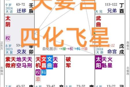 紫微斗数之宫干四化法