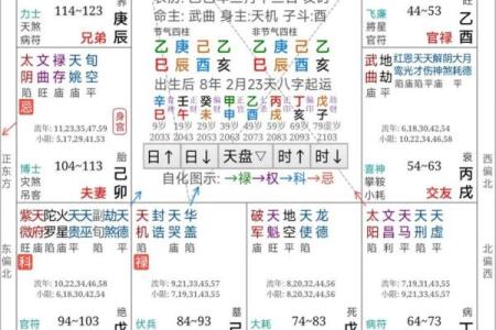 紫薇斗数看玄学体质