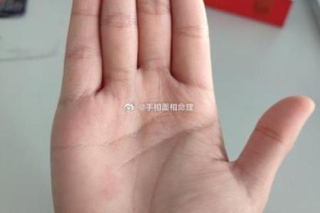 《手相学习百科》：手指