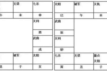 紫微斗数114种命盘