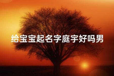 上午11点出生的属狗男孩怎么取名，用什么字好姓名