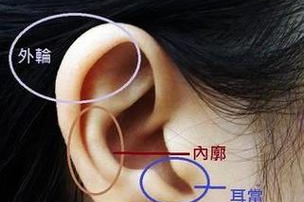 女人耳朵看相算命