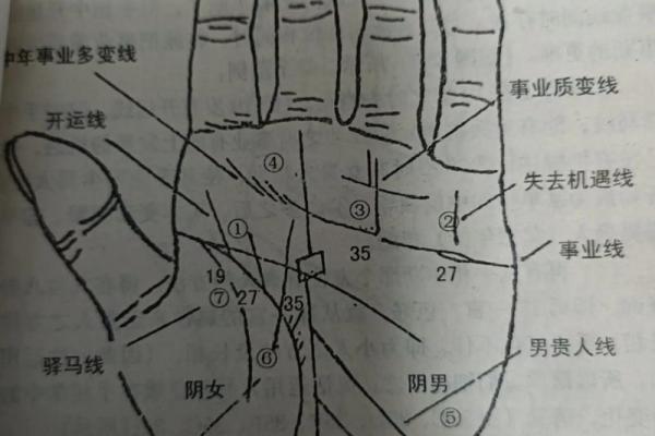《手相学习百科》：手相看事业、职业