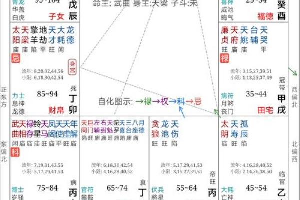 紫微斗数之后天运势－－岁限的分析推断：看流年