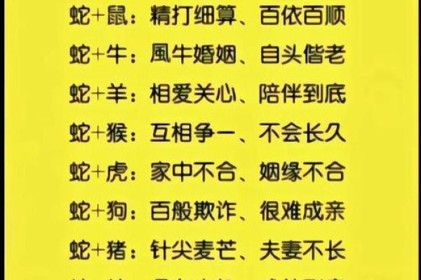 1991年属什么生肖配对