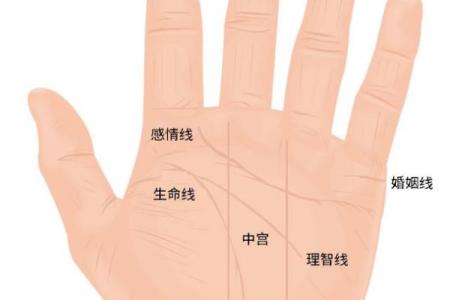 男人九种手相算命图解