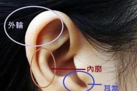 女人耳朵看相算命