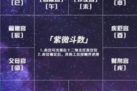紫薇斗数命盘怎么看子女宫